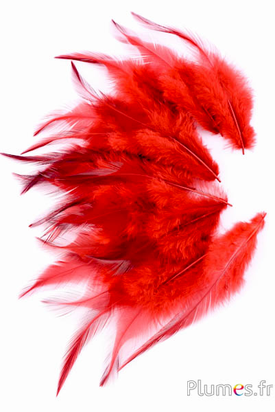 Coq - 8-12 cm - rouge